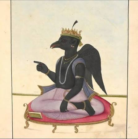 naidunia_image